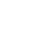 mirlo