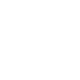 orquidea