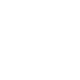 salamandra